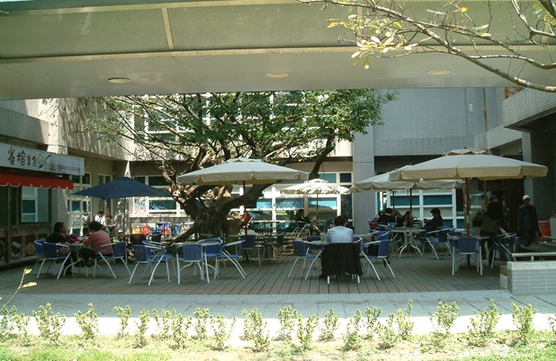02.jpg