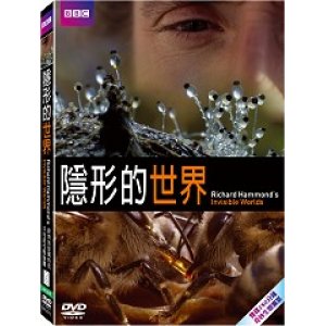 隱形的世界