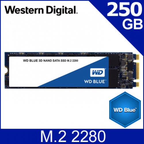 WD 藍標 250G M.2 SATA 3D NAND/061021