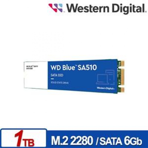 WD 藍標 SA510 1TB M.2 2280 SATA SSD/010124