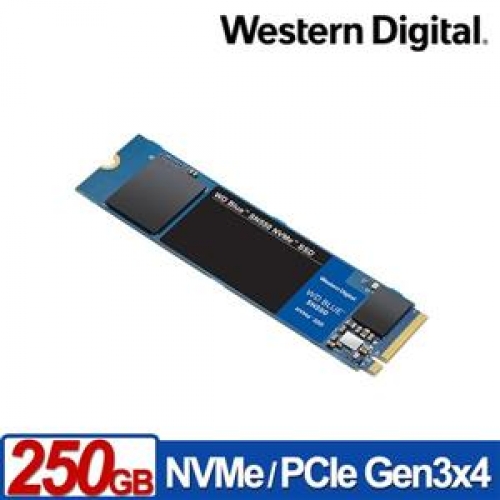 WD 藍標 SN550 250GB SSD PCIe NVMe 固態硬碟/050322