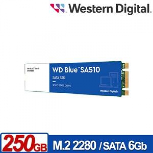 WD 藍標 SA510 250GB M.2 2280 SATA SSD/010124