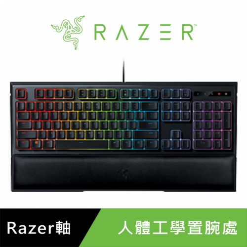 RAZER 雨林狼蛛 幻彩...