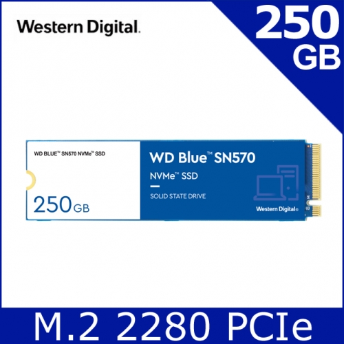 WD 藍標 SN570 250GB ...
