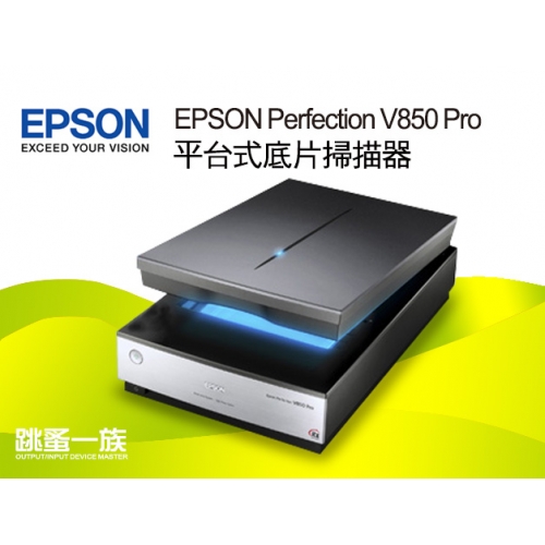 跳蚤一族 EPSON Perfe...